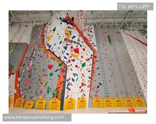 南京飞盘队在极限运动会中的意识表现分析与点评